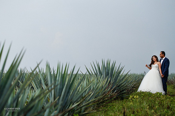 fotógrafo de boda en guadalajara
