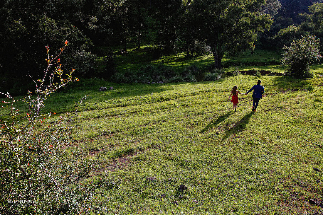 sesión en bosque