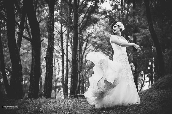 fotografo bodas guadalajara