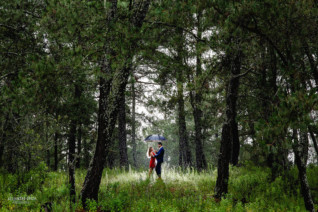 sesión en bosque