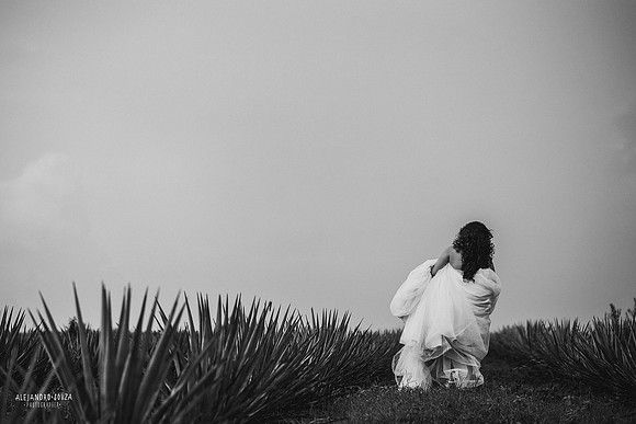 fotógrafo de boda en guadalajara