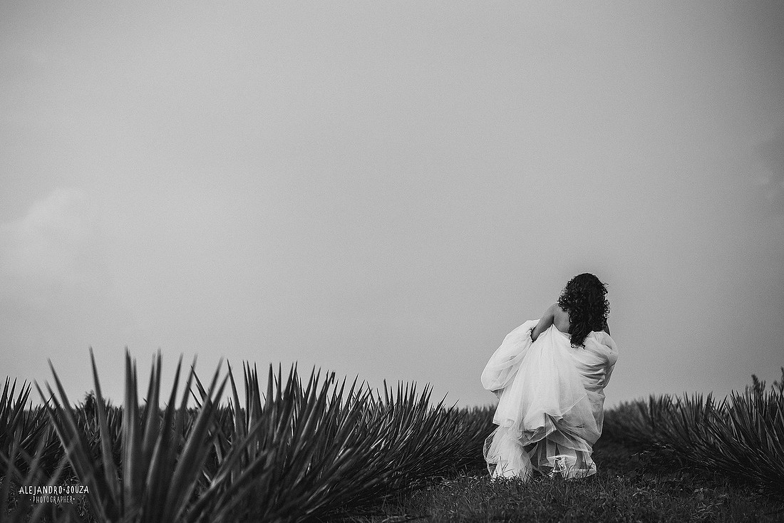 fotógrafo de boda en guadalajara