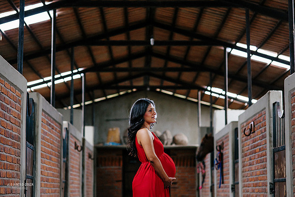 fotógrafo de boda en guadalajara
