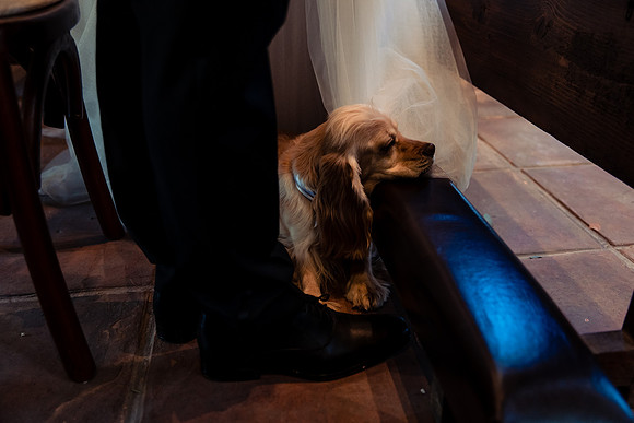 fotógrafo de bodas guadalajara