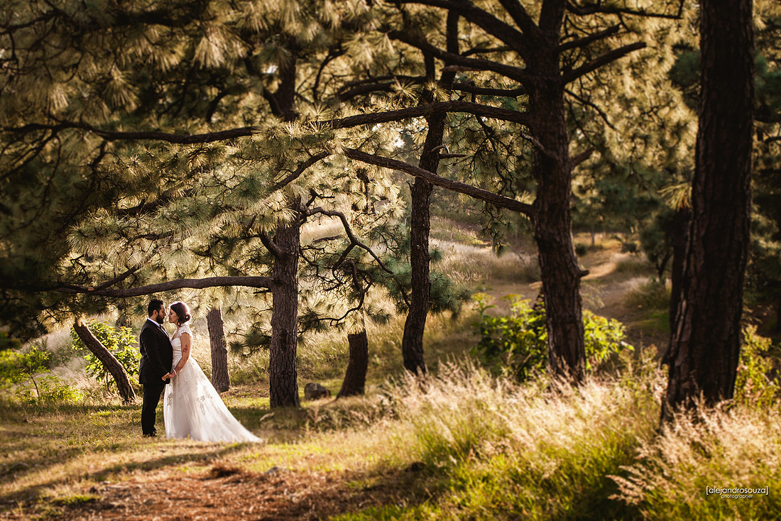 fotografo bodas guadalajara
