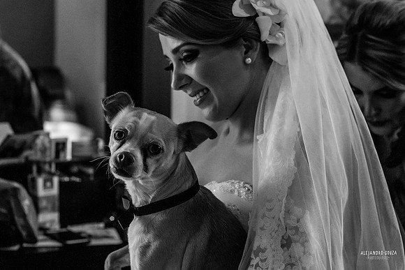 fotógrafo de boda en guadalajara