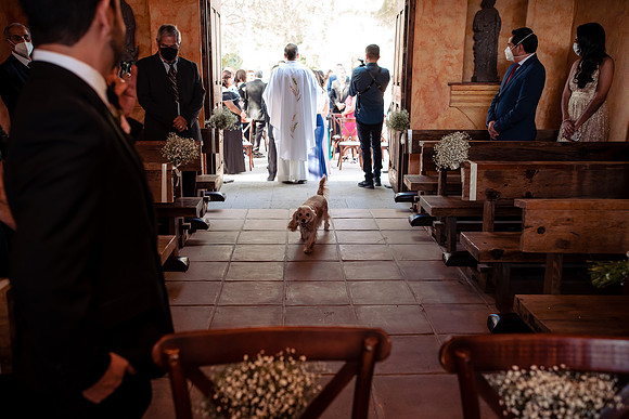 fotógrafo de bodas guadalajara