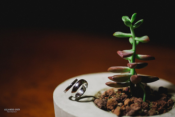 fotógrafo de boda en guadalajara