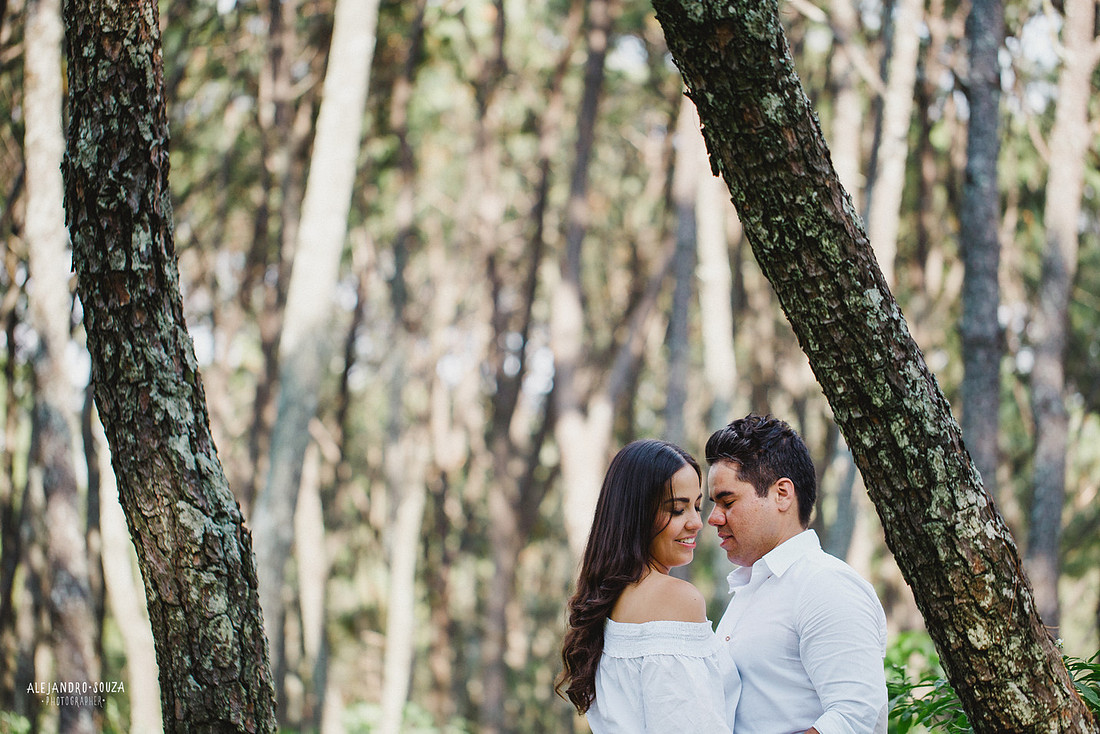 fotógrafo de boda en guadalajara