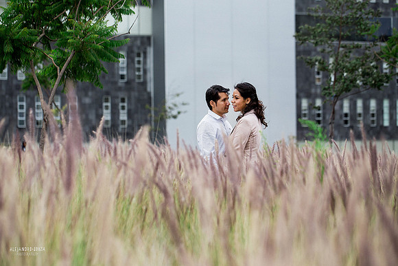 fotógrafo de boda
