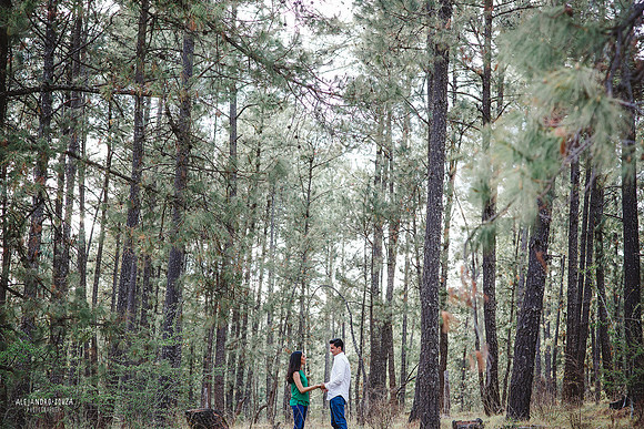 fotógrafo de bodas en guadalajara