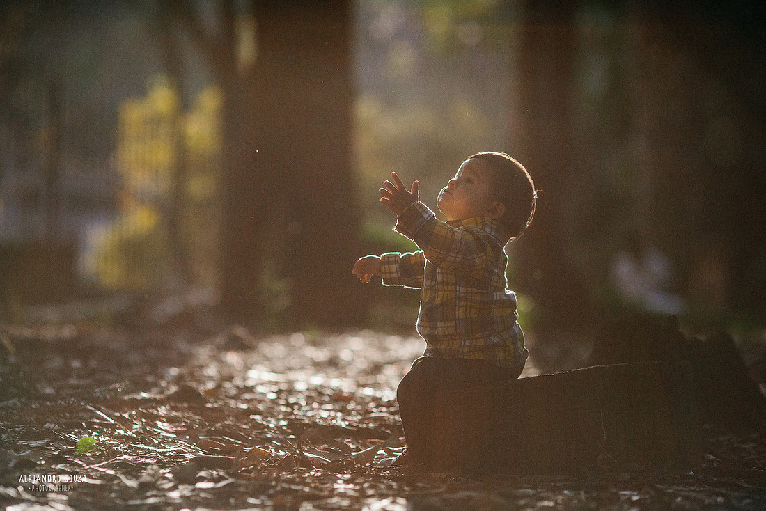 baby session