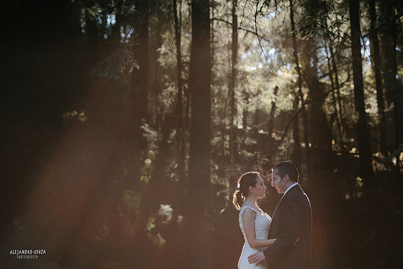 fotógrafo de boda