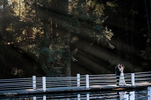 fotógrafo de boda