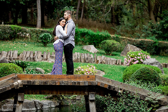 jardin japones colomos