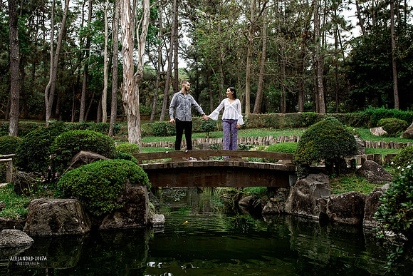 jardin japones colomos