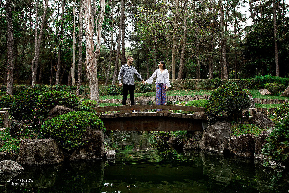 jardin japones colomos