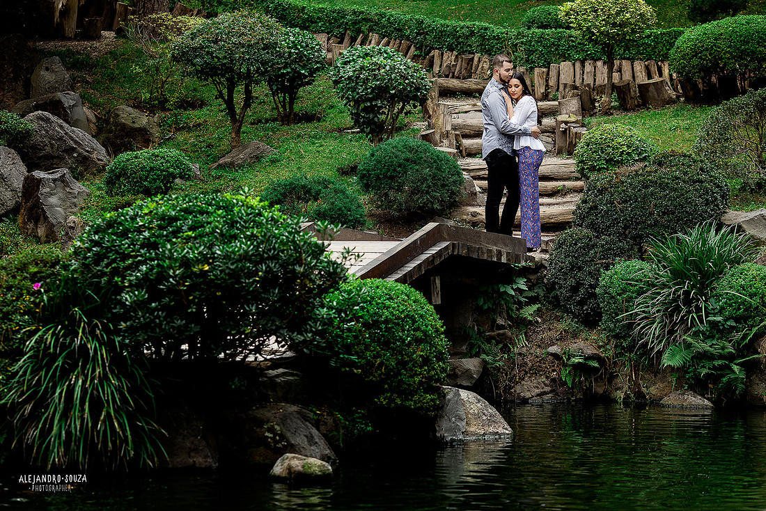 jardin japones colomos