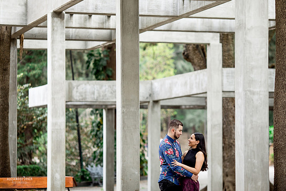 jardin japones colomos