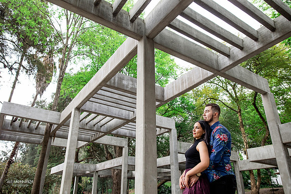 jardin japones colomos