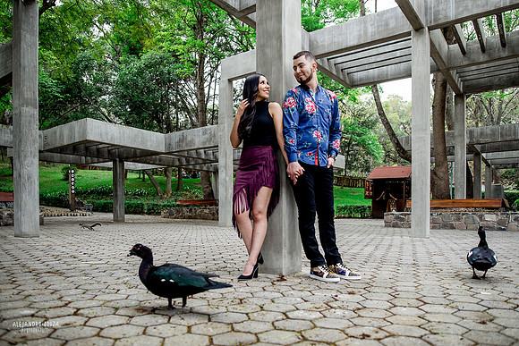 jardin japones colomos