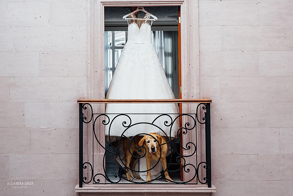fotógrafo de boda en guadalajara