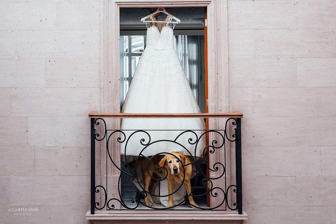 fotógrafo de boda en guadalajara