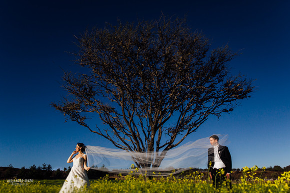 fotógrafo de boda en guadalajara