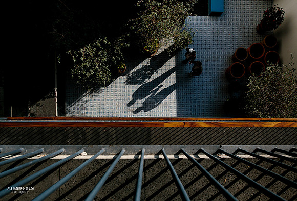 fotógrafo de boda en guadalajara