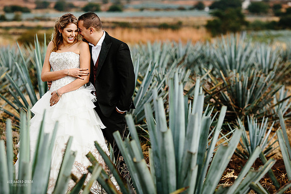 fotógrafo de boda en guadalajara