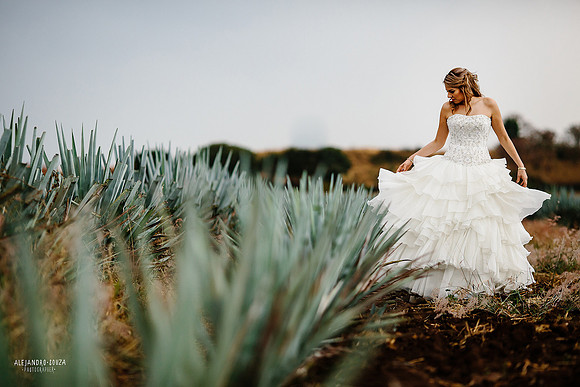 fotógrafo de boda en guadalajara