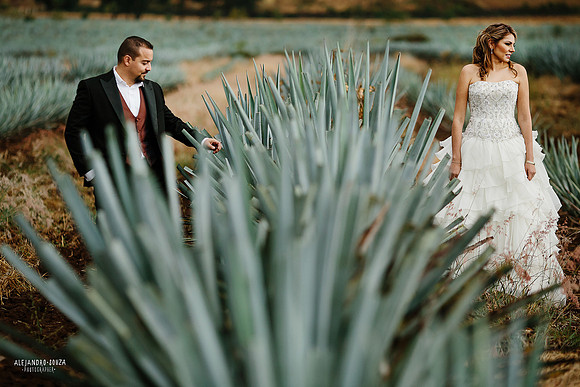 fotógrafo de boda en guadalajara
