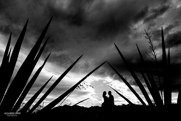 fotógrafo de boda en guadalajara