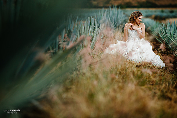 fotógrafo de boda en guadalajara