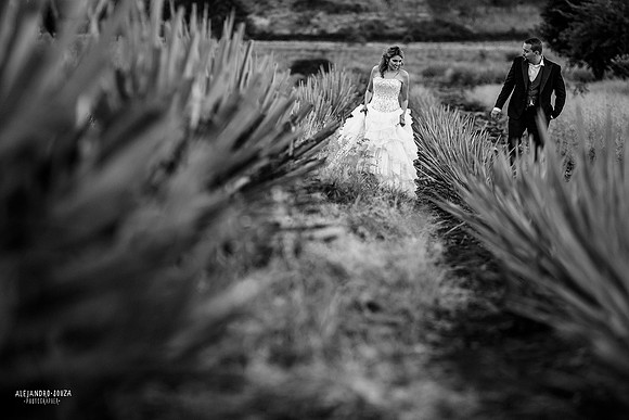 fotógrafo de boda en guadalajara