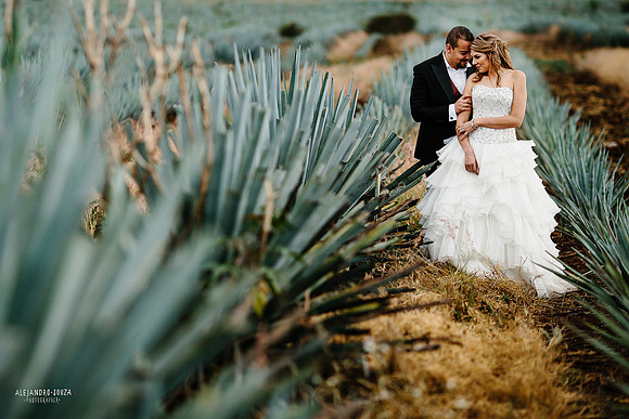 fotógrafo de boda en guadalajara