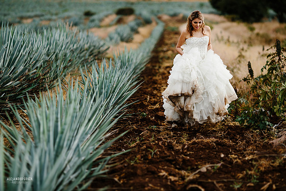fotógrafo de boda en guadalajara