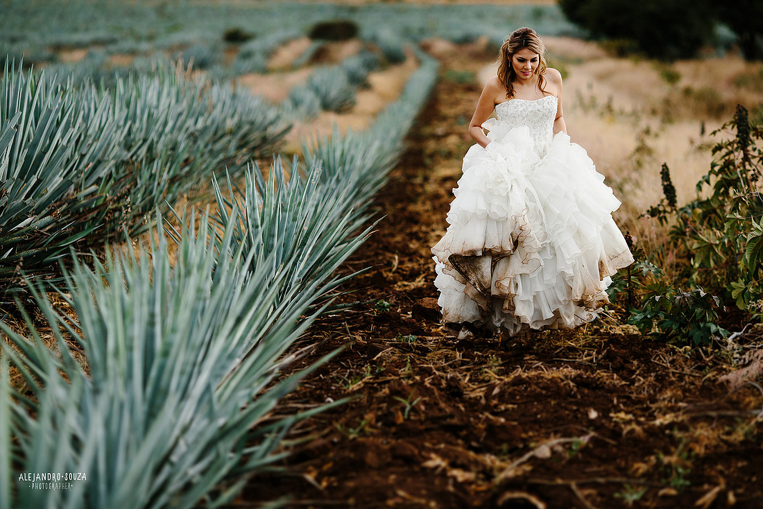 fotógrafo de boda en guadalajara