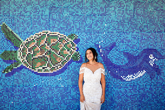 trash the dress