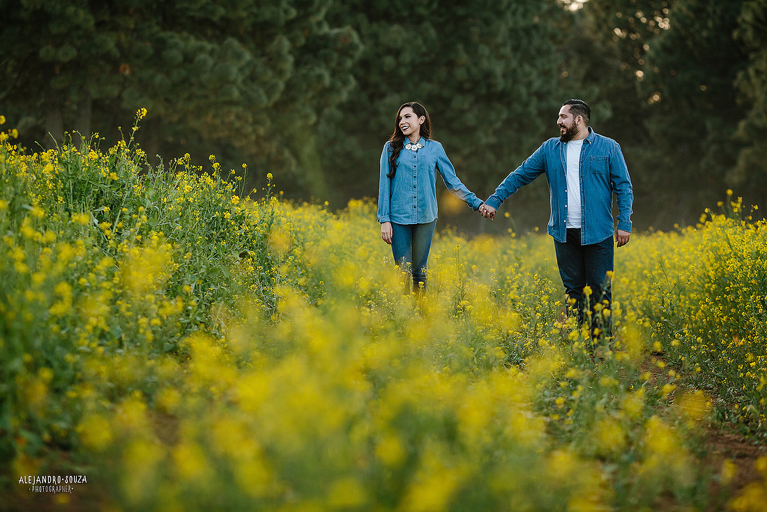 fotógrafo de boda en guadalajara