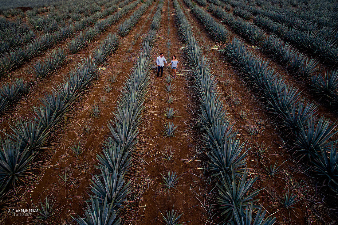 fotógrafo de bodas en guadalajara