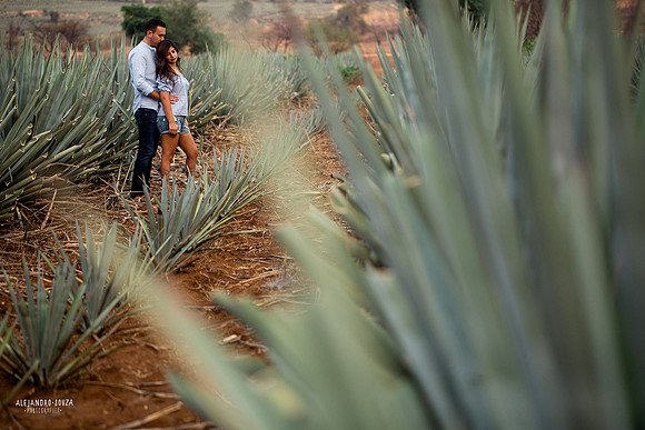 fotógrafo de bodas en guadalajara
