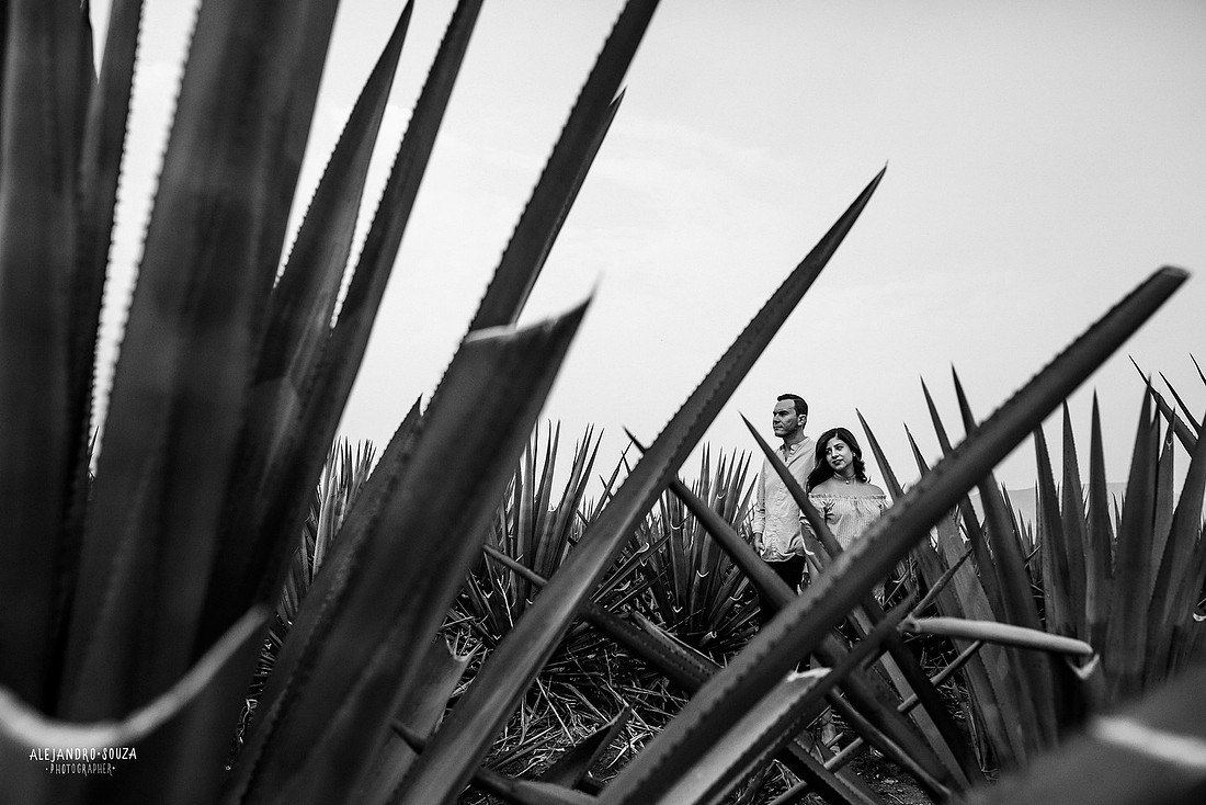 fotógrafo de bodas en guadalajara
