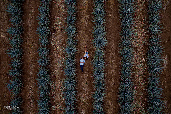 fotógrafo de bodas en guadalajara