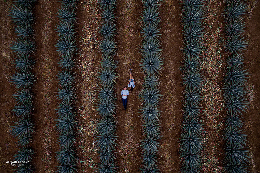 fotógrafo de bodas en guadalajara