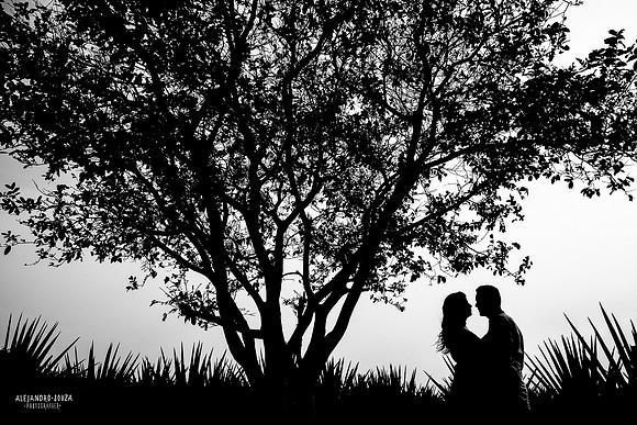 fotógrafo de bodas en guadalajara