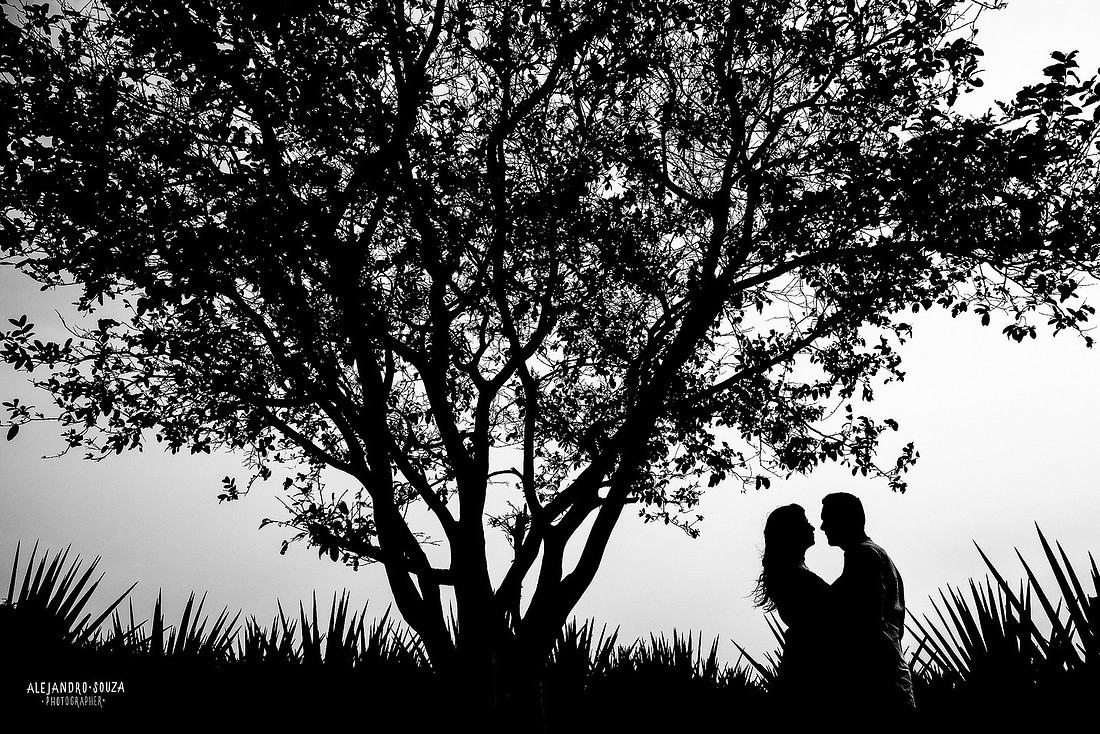 fotógrafo de bodas en guadalajara