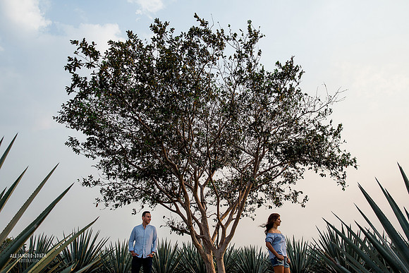 fotógrafo de bodas en guadalajara
