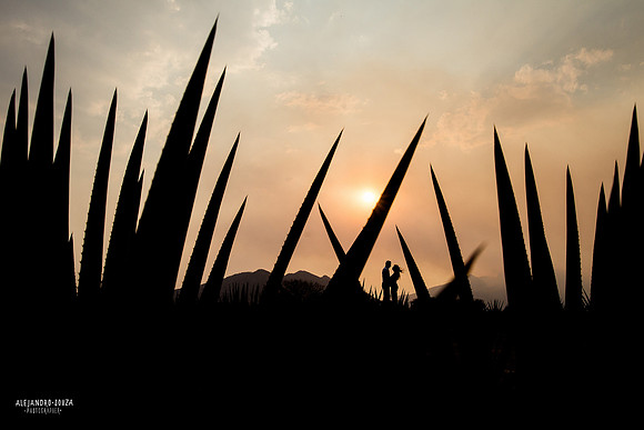 fotógrafo de bodas en guadalajara