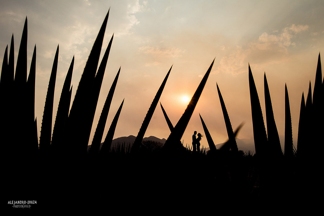 fotógrafo de bodas en guadalajara